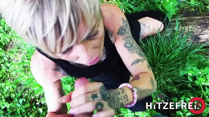 852px x 479px - Tattooed German MILF sucking and fucking in the park xxx porn video |  Pervert Tube