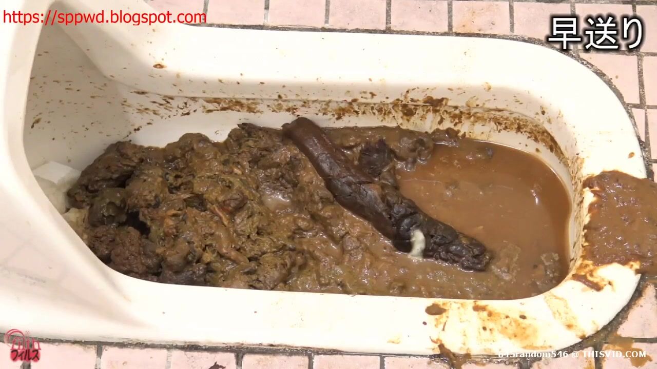 Japanese girls pooping in extreme filthy smelly and full of shit ...